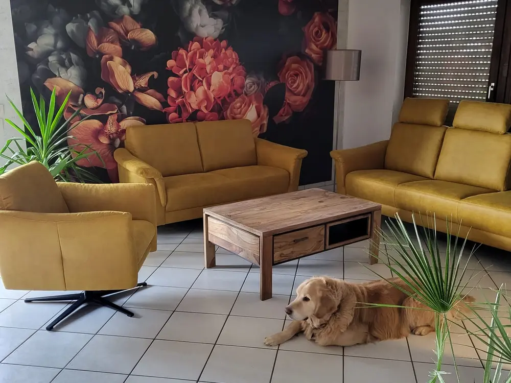 Wohnzimmer mit fertig gestalteter Akzentwand